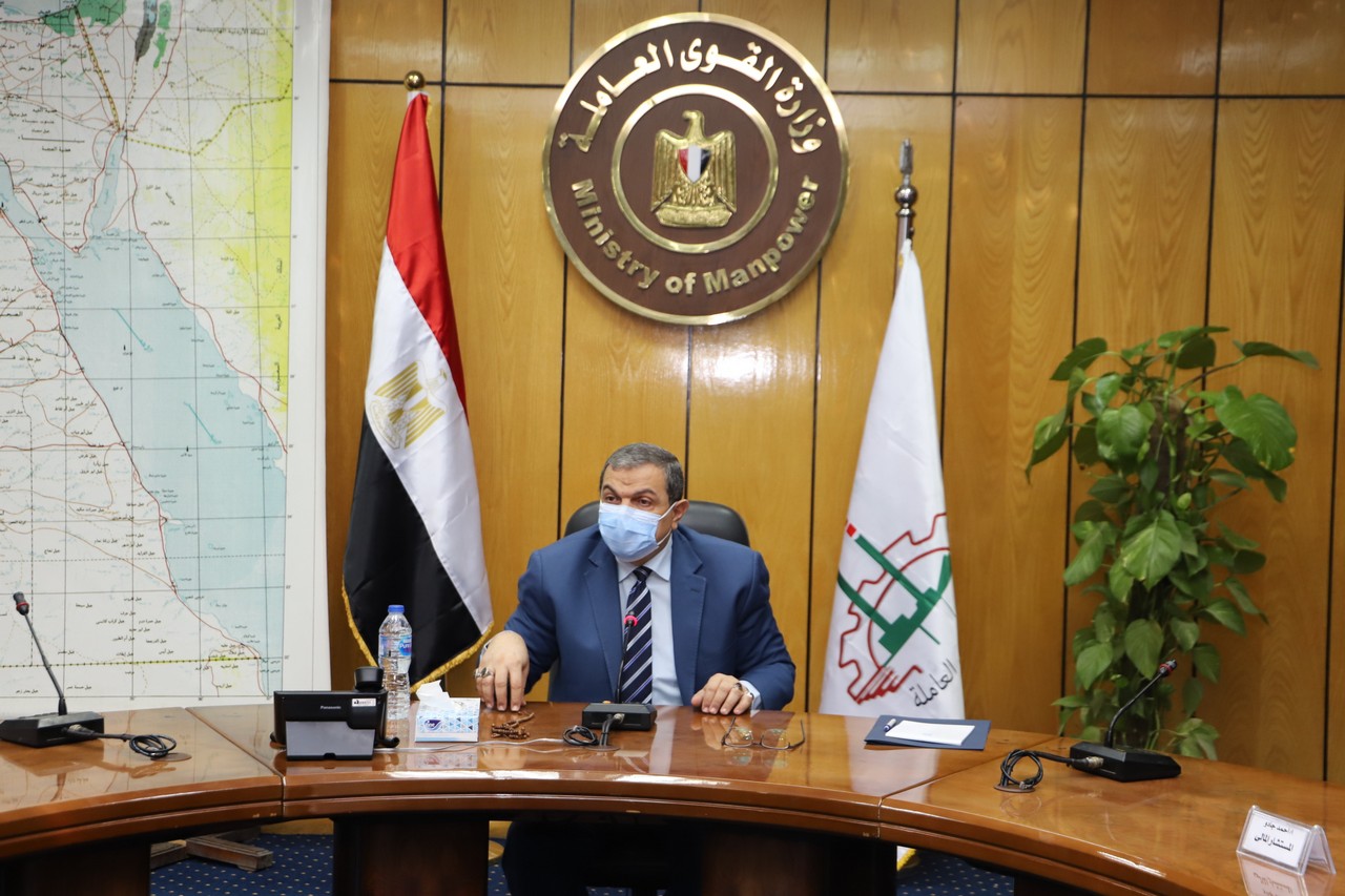 وزير القوى العامله 