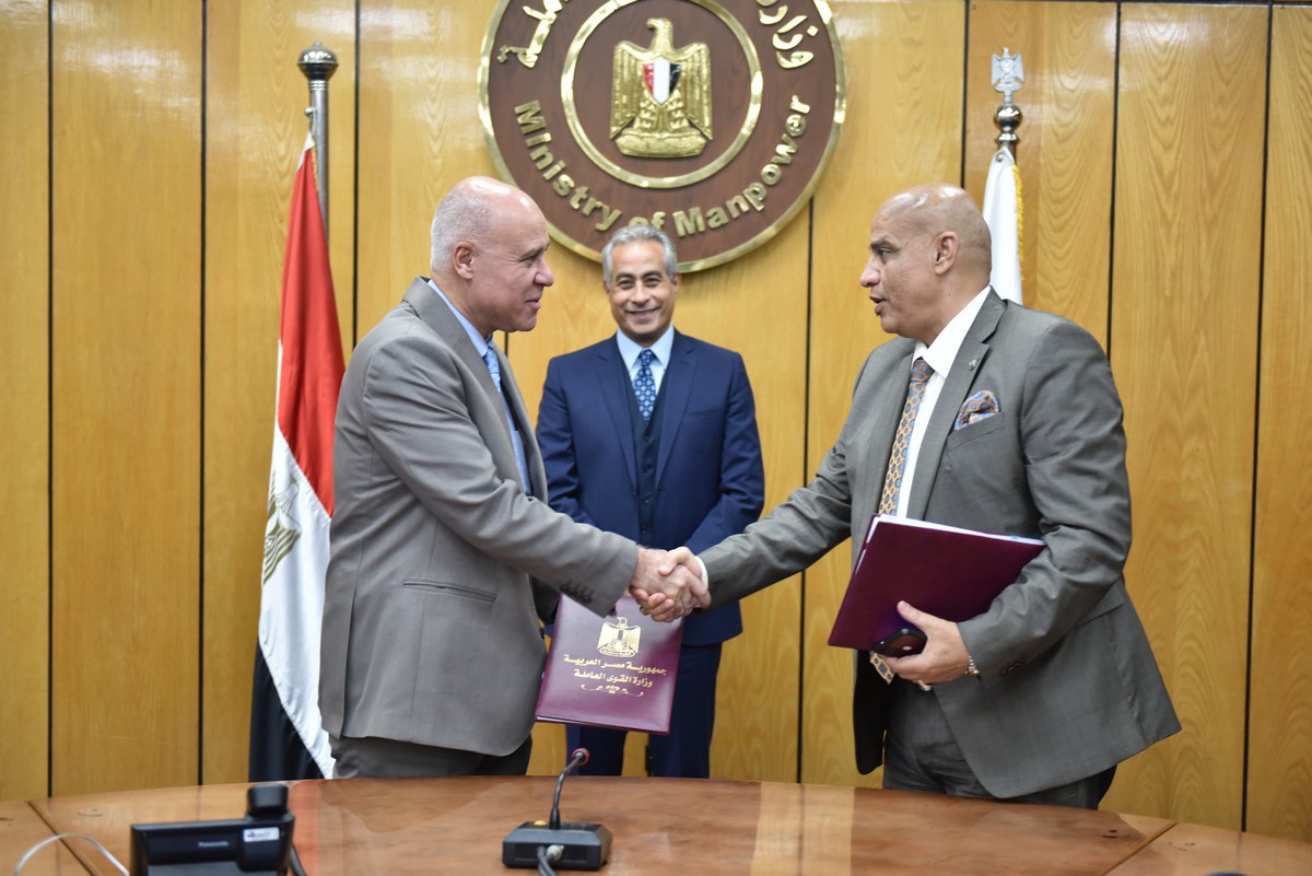 وزير القوى العامله 