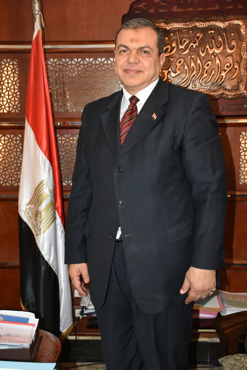 وزير القوى العامله 