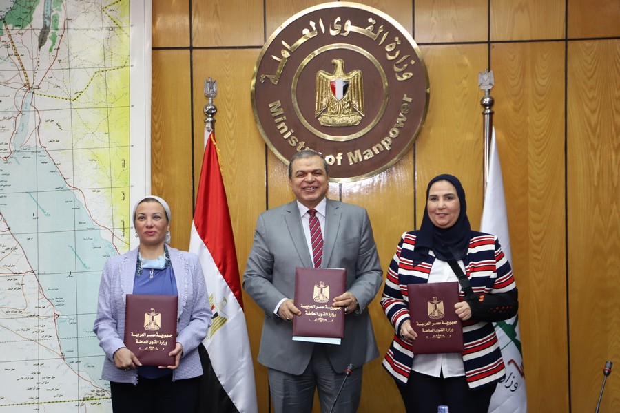 وزير القوى العامله 