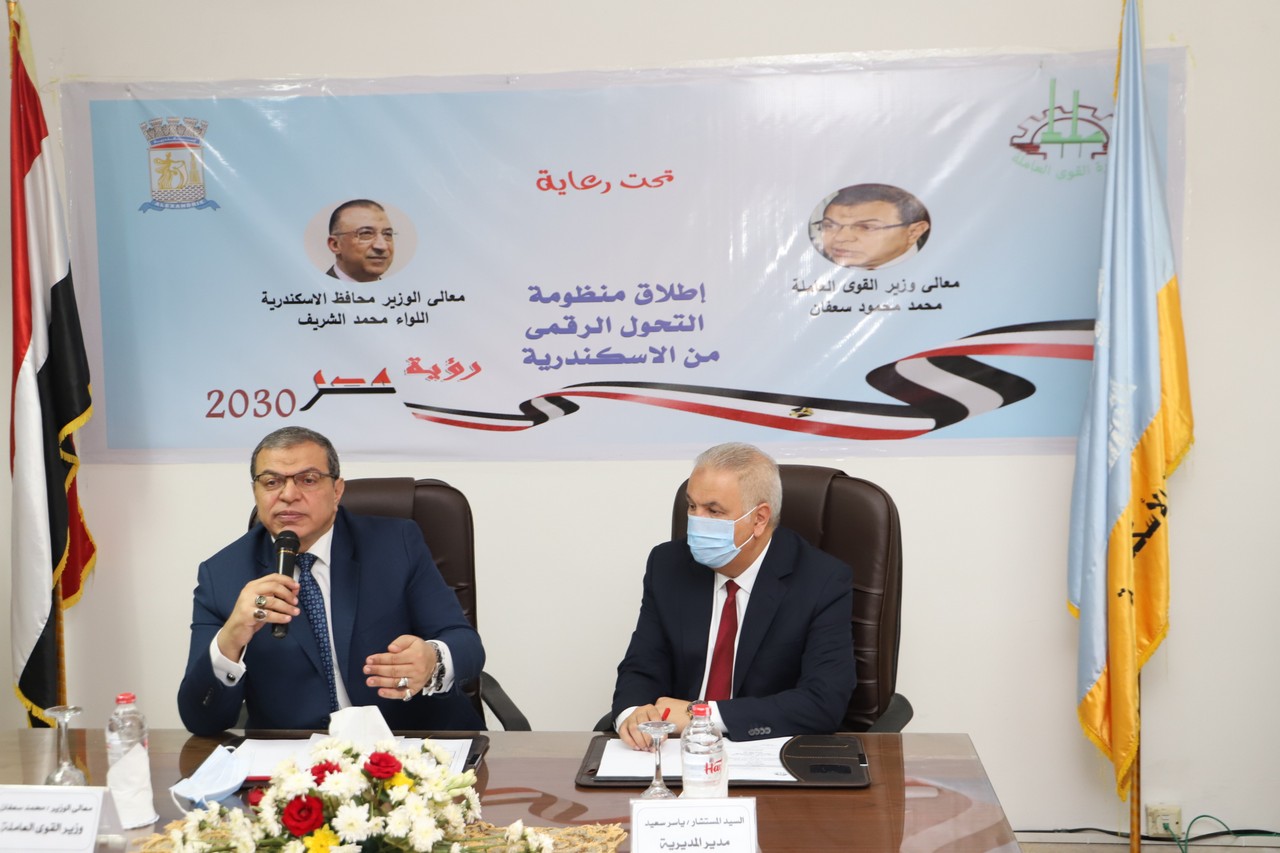 وزير القوى العامله 