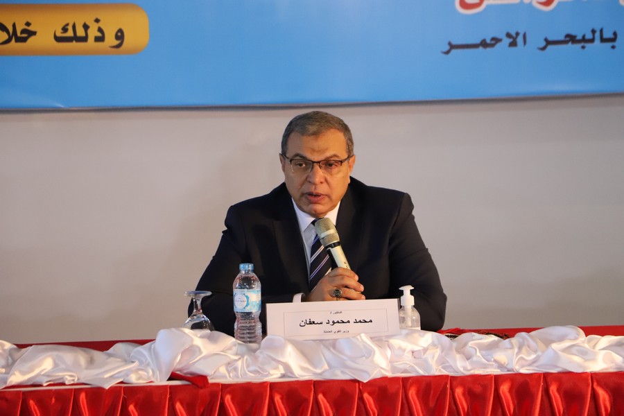 وزير القوى العامله 