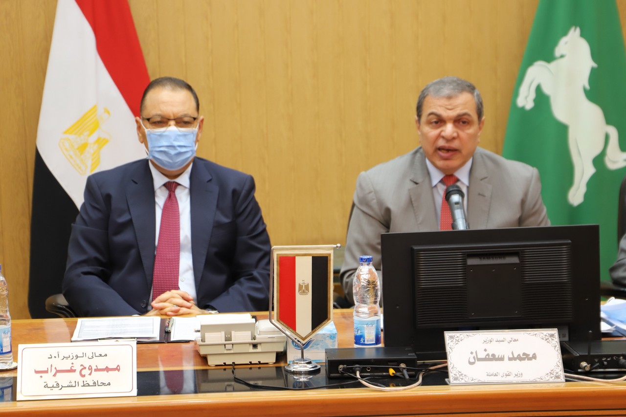 وزير القوى العامله 
