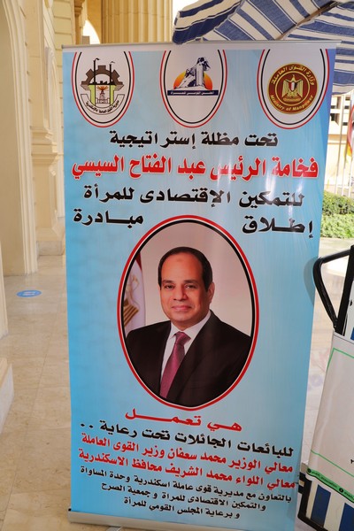 وزير القوى العامله 
