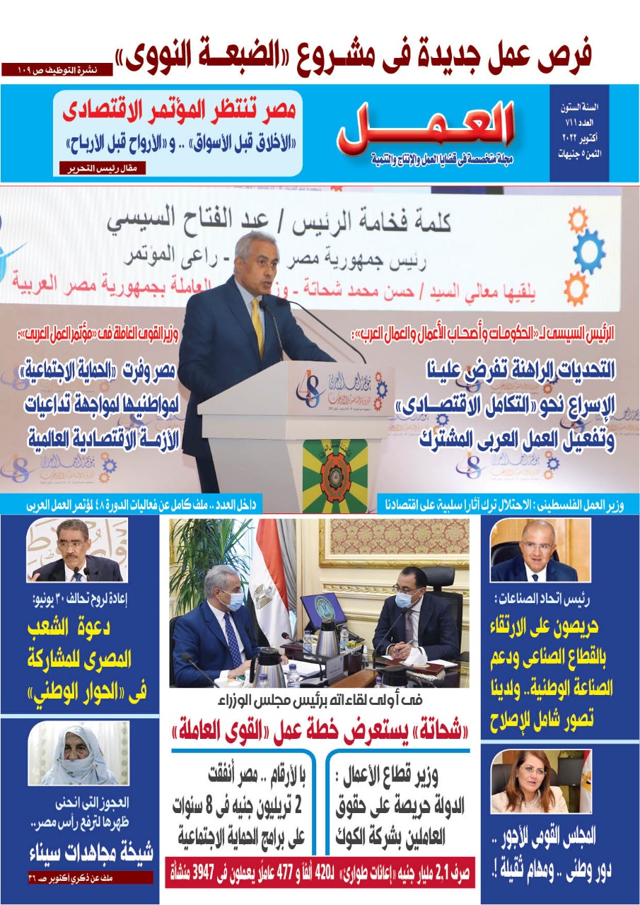 وزير القوى العامله 